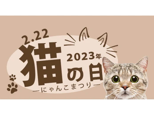 マルイの『2月22日は「猫の日」ーにゃんこまつり2023』に参加しています🐱