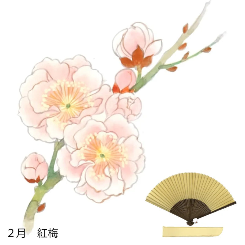 To Silk fan, February flower pattern, hand-painted + silk fan