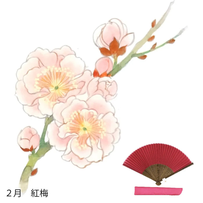 To Silk fan, February flower pattern, hand-painted + silk fan