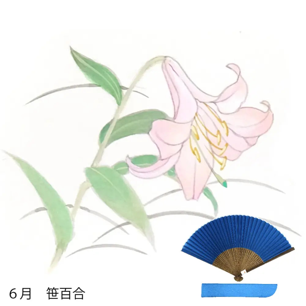 Silk fan, flower pattern for June, hand-painted + silk fan