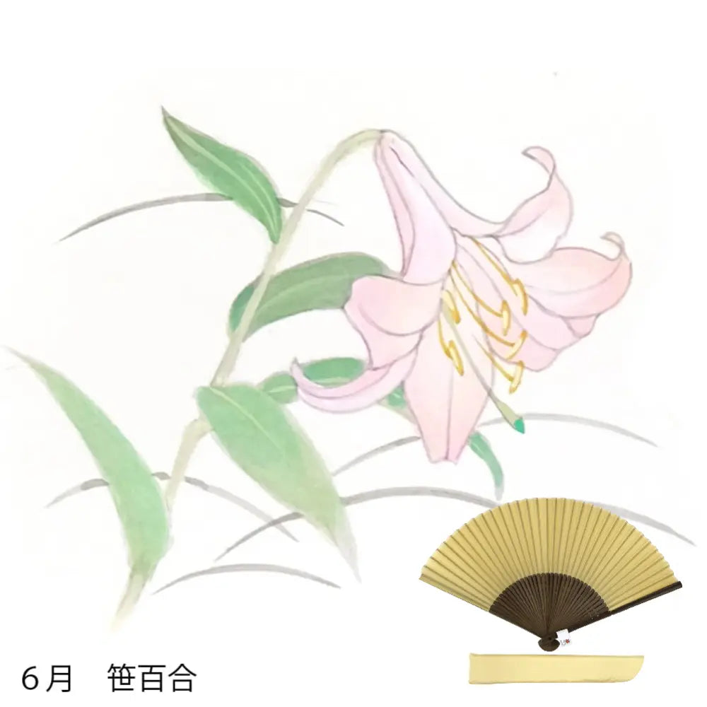 Silk fan, flower pattern for June, hand-painted + silk fan