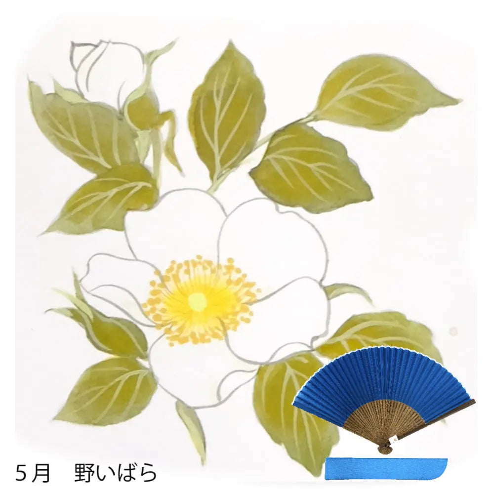 Éventail en soie, motif de fleurs de mai, prix peint à la main + éventail en soie