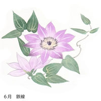 絹扇子へ 6月のお花柄  手描き代+絹扇子