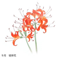 Pour l'éventail en soie, motif floral pour septembre, prix peint à la main + éventail en soie.