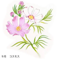 絹扇子へ 9月のお花柄  手描き代+絹扇子